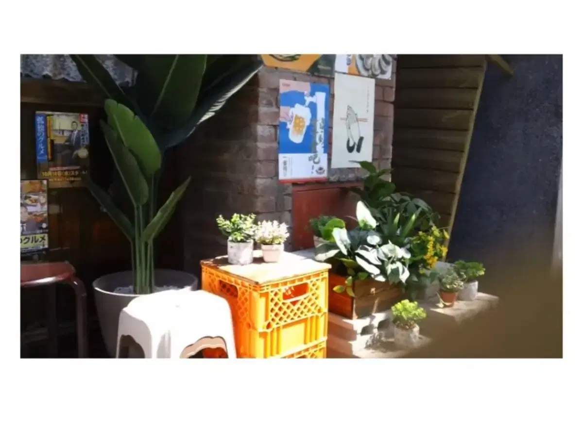thumbnail-5